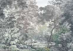 Komar Fototapete »Digitaldruck Vlies -Fairytale Forest - Größe 400 x 280 cm« bedruckt glatt Vlies Fototapete - Fairytale Forest - Größe 400 x 280 cm