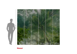 Komar Fototapete »Digitaldruck Vlies -Climber Canopy - Größe 300 x 250 cm« bedruckt | floral | geblümt | gemustert | tropisch glatt Wohnzimmer, Schlafzimmer