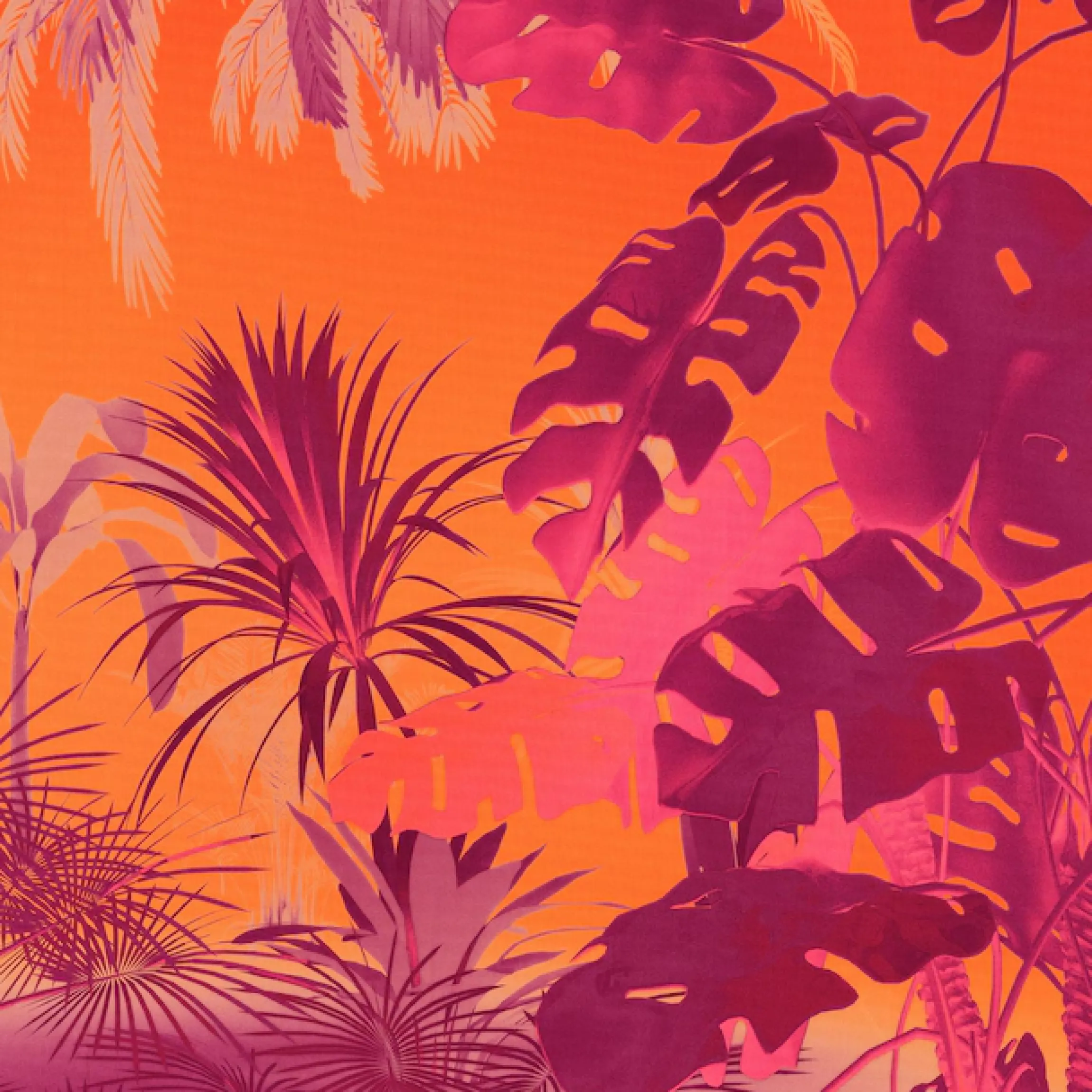 Komar Fototapete »Komar Vlies Fototapete - Funky Jungle - Größe 250 x 250 cm« bedruckt glatt