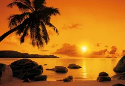 Komar Fototapete »Papier Fototapete - Sunset - Größe 368 x 254 cm« Motiv | bedruckt glatt