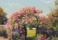 Komar Fototapete »Rose Garden - Größe 368 x 254 cm« bedruckt glatt Wohnzimmer, Schlafzimmer