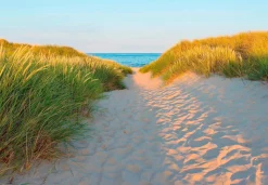 Komar Fototapete »Sandy Path - Größe 368 x 254 cm« bedruckt glatt Wohnzimmer, Schlafzimmer