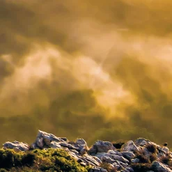 Komar Fototapete »Vlies Fototapete - Soul of Light - Größe 400 x 250 cm« Motiv | bedruckt glatt