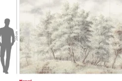 Komar Fototapete »Vlies Fototapete - Grove - Größe 350 x 250 cm« Motiv | bedruckt glatt