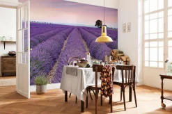 Komar Fototapete »Vlies Fototapete - Provence - Größe 400 x 260 cm« Motiv | bedruckt glatt