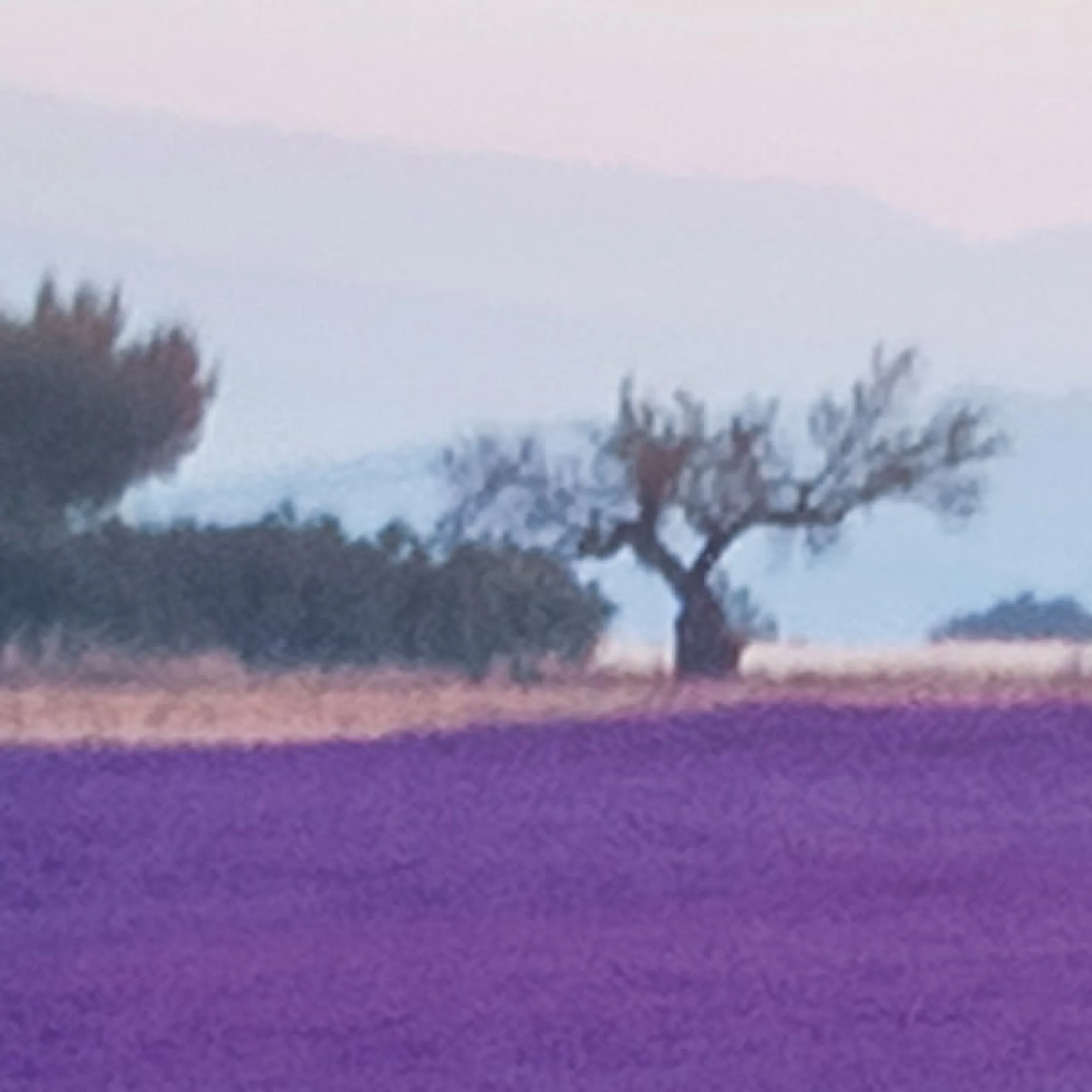 Komar Fototapete »Vlies Fototapete - Provence - Größe 400 x 260 cm« Motiv | bedruckt glatt
