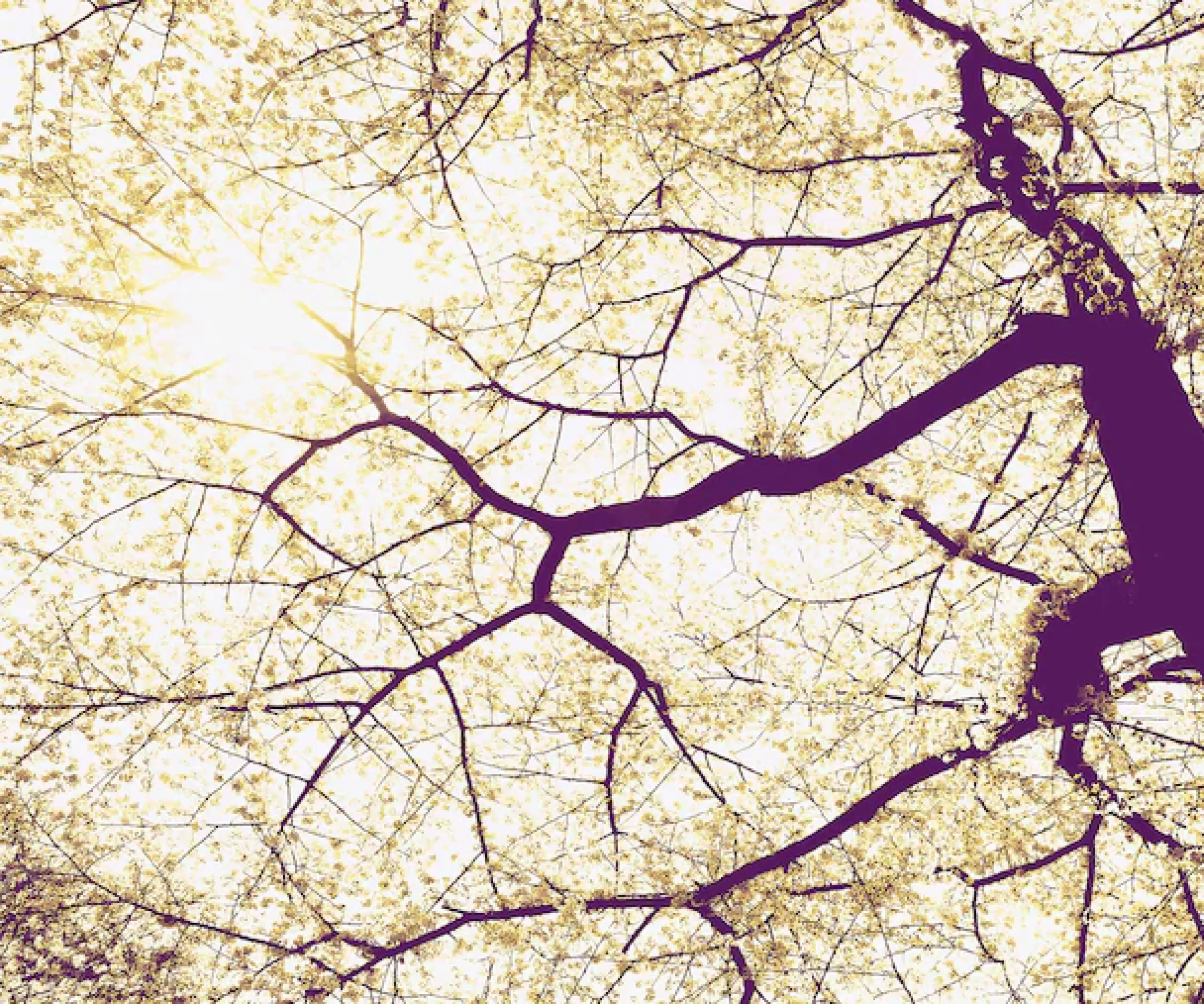 Komar Fototapete »Vlies Fototapete - Sunshine - Größe 300 x 250 cm« Motiv | bedruckt glatt