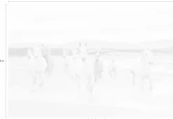 Komar Fototapete »White Horses - Größe 368 x 254 cm« bedruckt glatt Wohnzimmer, Schlafzimmer