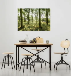 Komar Leinwandbild »Dänische Buchen - Größe 90 x 60 cm« Baum | Berge | Blumen | Blätter | Foto | Jahreszeiten | Landschaft | Meer