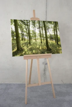 Komar Leinwandbild »Dänische Buchen - Größe 90 x 60 cm« Baum | Berge | Blumen | Blätter | Foto | Jahreszeiten | Landschaft | Meer