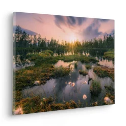 Komar Leinwandbild »Gloomy Swamps - Größe 60 x 40 cm« Baum | Berge | Blumen | Blätter | Foto | Jahreszeiten | Landschaft | Meer