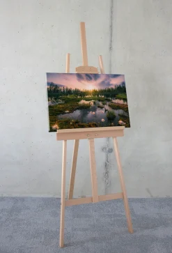 Komar Leinwandbild »Gloomy Swamps - Größe 60 x 40 cm« Baum | Berge | Blumen | Blätter | Foto | Jahreszeiten | Landschaft | Meer
