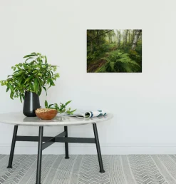 Komar Leinwandbild »Mystic Birch Grove - Größe 40 x 30 cm« Baum | Berge | Blumen | Blätter | Foto | Jahreszeiten | Landschaft | Meer