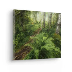 Komar Leinwandbild »Mystic Birch Grove - Größe 40 x 30 cm« Baum | Berge | Blumen | Blätter | Foto | Jahreszeiten | Landschaft | Meer