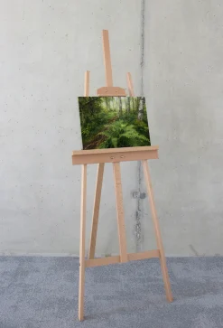 Komar Leinwandbild »Mystic Birch Grove - Größe 40 x 30 cm« Baum | Berge | Blumen | Blätter | Foto | Jahreszeiten | Landschaft | Meer