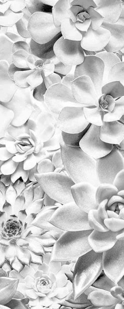 Komar Vliestapete »Digitaldruck Vlies -Shades Black and White Panel« bedruckt glatt Wohnzimmer, Schlafzimmer