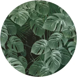 Komar Vliestapete »Vlies selbstklebend - Novel Monstera - Größe 125 x 125 cm« bedruckt glatt Wohnzimmer, Schlafzimmer