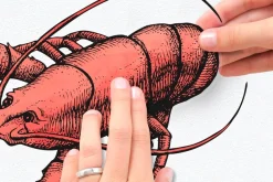 Komar Wandtattoo »Seafood - Größe 50 x 70 cm« selbstklebend, Wandsticker