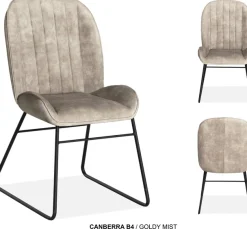 OMG Design Esszimmerstuhl »Canberra« (Set) 1 Stk.Esszimmerstuhl, pflegeleichter Samtvelour Bezug