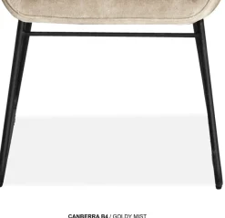 OMG Design Esszimmerstuhl »Canberra« (Set) 1 Stk.Esszimmerstuhl, pflegeleichter Samtvelour Bezug