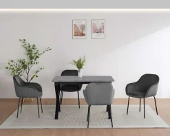 OTTO home Esszimmerstuhl »Dannika« (Set) 2 Stk.pflegeleichter Veloursstoff, schwarze Metallbeine, Sitzbreite 41 cm