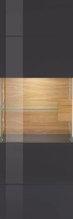 OTTO home Hängevitrine »Toledo,Höhe 159 cm trendige Glasvitrine mit dekorative MDF-Front« Vitrine mit Glasfront, ohne Beleuchtung, viel Stauraum, hochglanz