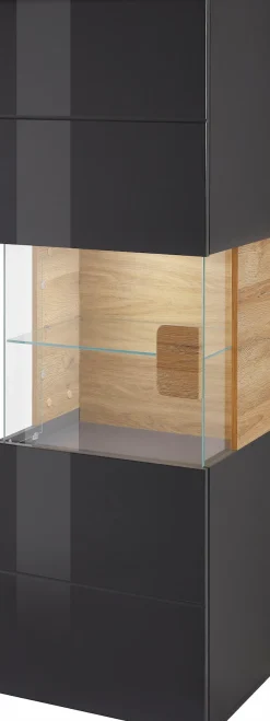 OTTO home Hängevitrine »Toledo,Höhe 159 cm trendige Glasvitrine mit dekorative MDF-Front« Vitrine mit Glasfront, ohne Beleuchtung, viel Stauraum, hochglanz