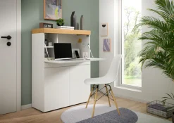 OTTO home Sekretär »MAMBO, TOPSELLER!, Höhe 122cm, 2 Türen, 1 Schubkasten, 1 Klappe« Home-Office-Schreibtisch, PC-Schrank, Schreibtisch, Office