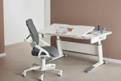 PAIDI Kinderschreibtisch »JARO in Weiß, mitwachsend & ergonomisch« höhenverstellbarer Schülerschreibtisch, Platte bis 20° neigbar