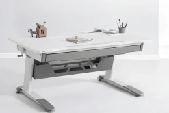 PAIDI Schubkasten »JARO, silberfarben, inkl. Utensilieneinlage« B/H/T ca. 89/5/33 cm,passend zum Schreibtisch Jaro