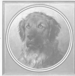 queence Acrylglasbild »Jagdhund« Gemälde | Hunde | Hundebilder | Kunst | Tiere Fine Art-Print in Galeriequalität