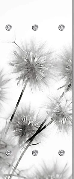 queence Garderobenleiste »Alamea« Pusteblume, schwarz, weiß, Garderobe