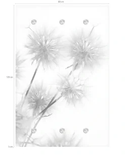 queence Garderobenleiste »Pusteblume« mit 6 Haken, 80 x 120 cm