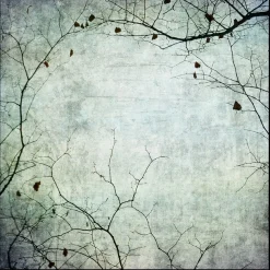 queence Leinwandbild »Kirschblüten« Abstrakt | Blätter | Blätterbilder | Kunst | Modern mit einem Schattenfugenrahmen veredelt