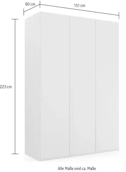 rauch Drehtürenschrank »Kleiderschrank Schrank Garderobe Wäscheschrank PURISMA Glasfront« in den Breiten 151/201/251/301 cm, inkl. SOFT-CLOSE-FUNKTION,schlichte Eleganz, mit umfangreicher Innenausstattung MADE IN GERMANY
