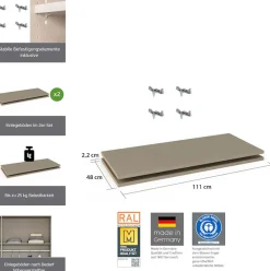 rauch Einlegeboden »Zubehör für Rauch-Schwebetürenschränke ORANGE/BLUE« 2er-Set Breite 111 cm, Tiefe 48 cm