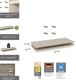 rauch Einlegeboden »Zubehör für Rauch-Schwebetürenschränke BLUE« 2er-Set Breite 107 cm, Tiefe 45 cm
