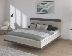 rauch Futonbett »Bett Doppelbett Holzbett SAJO« mit Farb-Absetzungen in komfortabler Sitzhöhe MADE IN GERMANY