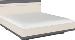 rauch Futonbett »Bett Doppelbett Holzbett SAJO« mit Farb-Absetzungen in komfortabler Sitzhöhe MADE IN GERMANY