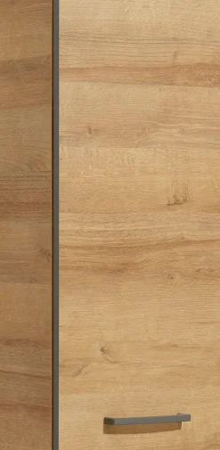 Saphir Hängeschrank »Quickset 919 Badschrank 30 cm breit mit 1 Tür und 2 Glas-Einlegeböden« Badezimmer-Hängeschrank inkl. Türdämpfer, Griffe in Grau