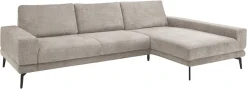 set one by Musterring Ecksofa »SO 3600 optimaler Sitzkomfort in Federkern o. Kaltschaum, 2 Sitzhöhen« Sitzhöhe 44 cm, Kaltschaum, B 293 x T 180 cm, Kama stone