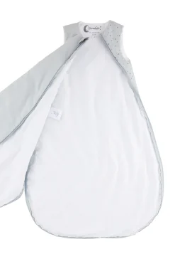 Sterntaler® Babyschlafsack »Schlafsack 70cm DINO Rexi«