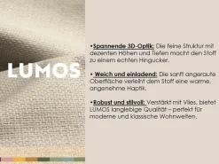 TRENDMANUFAKTUR Ecksofa »Graz, wahlweise mit Sitzvorschub und Bettkasten, L-Form, Breite 246 cm« in Cord-, haustierfreundlichem LEO Struktur- oder LUMOS-3D-Bezug