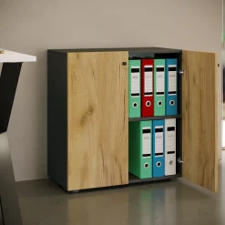 VCM Aktenschrank »Büroschrank Bücher Ordner Aktenschrank Lona 2fach« 1 Stk. tlg.