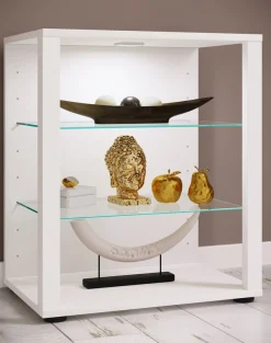 VCM Standvitrine »Holz Glas Stand Vitrine Sammelvitrine Glasol S« 1 Stk. tlg.