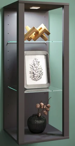 VCM Wandregal »Holz Glas Wandvitrine Wandregal Glasol MW« 1 Stk. tlg.