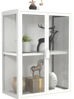 VCM Wandregal »Stahl Wandvitrine Hängevitrine Vitrine Glas Flokas« 1 Stk. tlg.