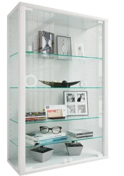VCM Wandregal »Wandvitrine Hängevitrine Glasvitrine Glas Udina L« 1 Stk. tlg.