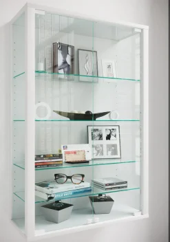 VCM Wandregal »Wandvitrine Hängevitrine Glasvitrine Glas Udina L« 1 Stk. tlg.