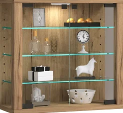 VCM Wandregal »Wandvitrine Hängevitrine Glasvitrine Vitrosa S« 1 Stk. tlg.